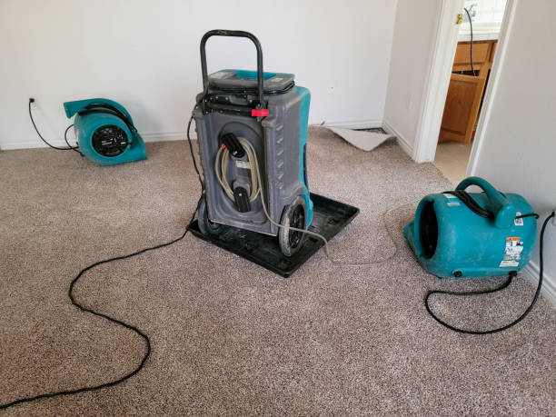 Best Water damage restoration services  in Upper Arlington, OH