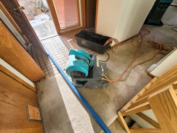 Best Flooded house restoration  in Upper Arlington, OH