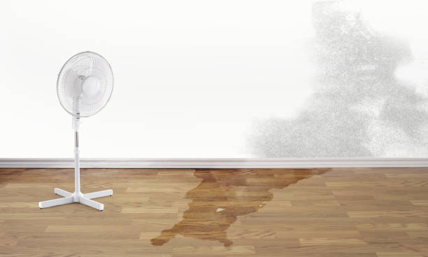 Best Water damage restoration cost  in Upper Arlington, OH