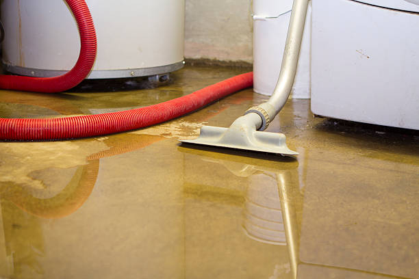 Best Flood damage cleanup  in Upper Arlington, OH