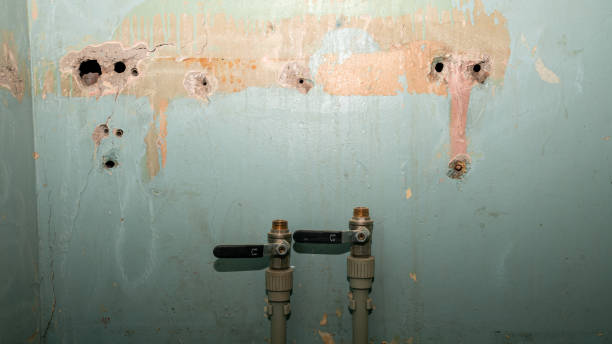 Best Commercial water damage restoration  in Upper Arlington, OH