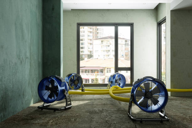 Best 24/7 water damage repair  in Upper Arlington, OH